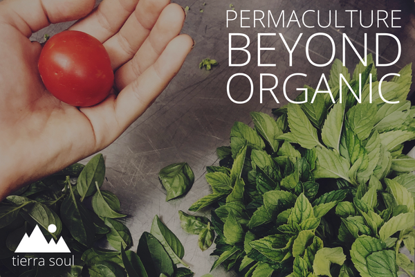 Beyond Organic