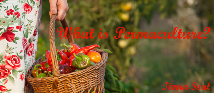 What is Permaculture - woman holding basket full of produce