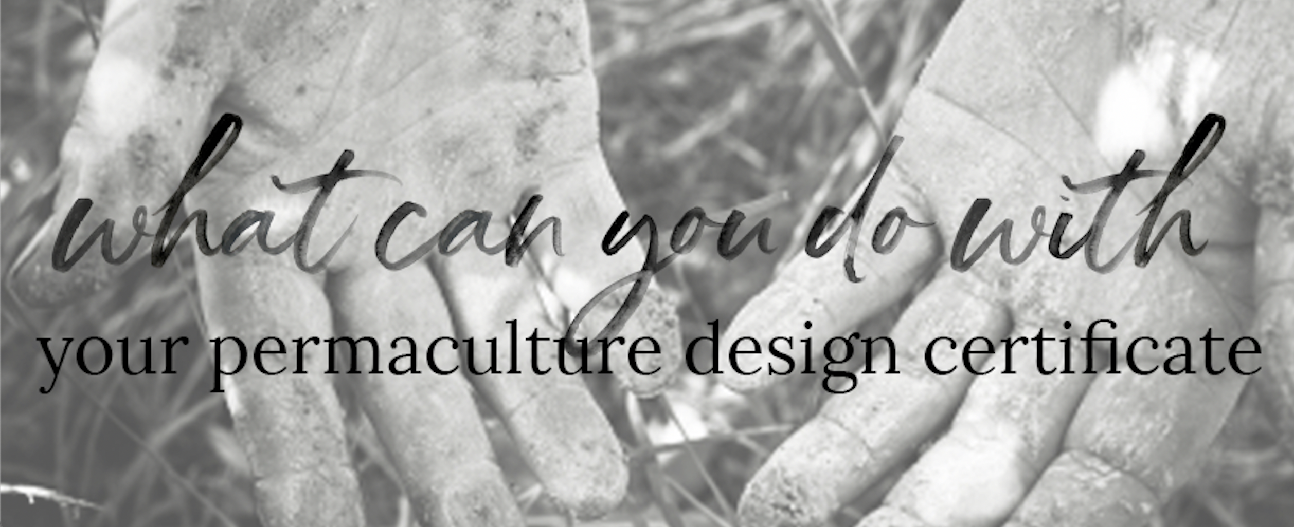 Permaculture Design Certificate - What you can do with yours